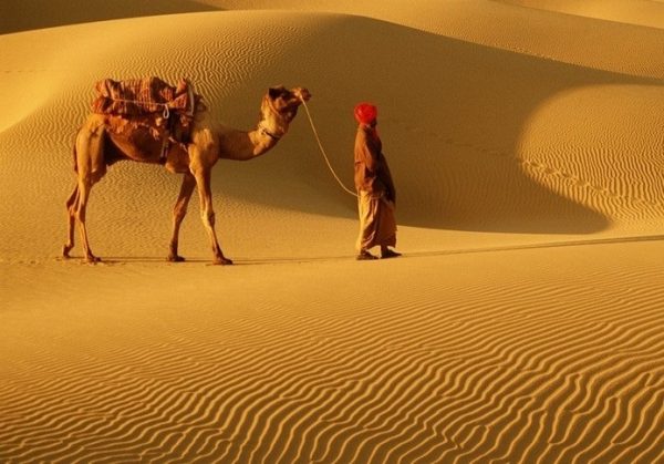 تور کویر کاراکال (یزد گردی) - تصویر 2