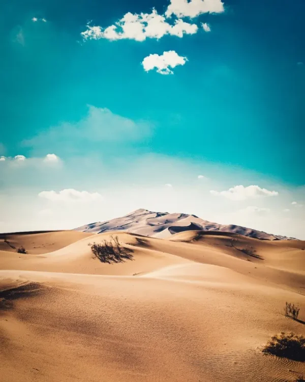 کویر ابوزید آباد - تصویر 2