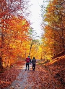 00a5b0c0-f341-40ab-8b6a-93028f302137