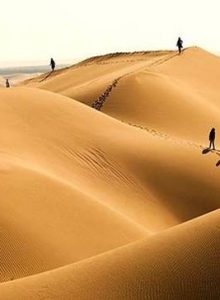 0838696a-6ce7-4f17-a96f-f1aff432fed5