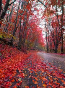 2a7a3a00-8b9a-4e6a-a1f8-8e9d6b17fa30