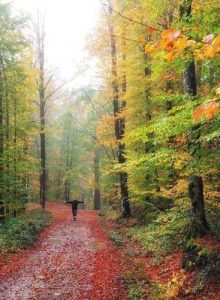 69208197-8a20-43e6-ace1-3d4b15ef13a4