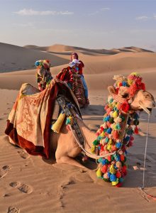 98082f17-4645-4d8e-869c-3a8eea6b920a