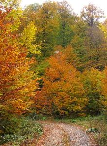 a1876174-4795-46df-b92a-a6b64a977c6c