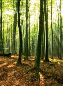 bb5bfc20-a85b-4d30-8e42-5f0436d5776a