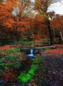 ee7752b7-9442-4339-b0b1-c147cb14bffb